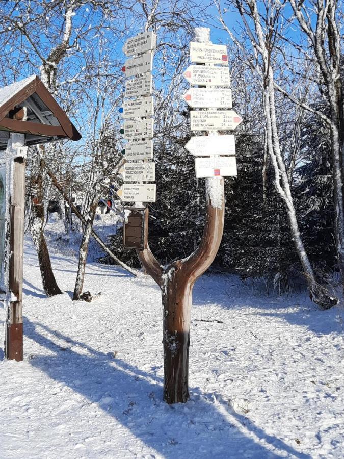 Apartman S Vyhlidkou Horní Maršov Exterior foto